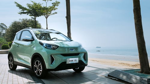 六万元内纯电代步车选购指南 小蚂蚁、零跑T03与自行车零配深度对比